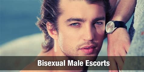 best gay escort sites|Gay, Bi and Trans Escorts